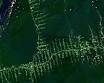 Habitat fragmentation - Wikipedia, the free encyclopedia