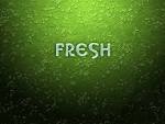 dlya_elfika_fresh-desktop- ...
