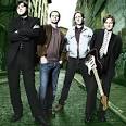 Image Gin Blossoms Picture