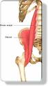Tight Hips? Tips To Loosen Your Hip Flexors | Laurens Fitness