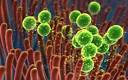 New Autism – breakthrough treatments for autism | Biofilm