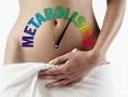 que aumentam o <b>metabolismo</b>