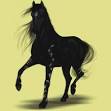 EQUIDEOW-