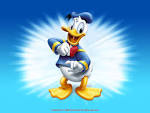 http://images2.fanpop.com/images/photos/6600000/Donald-Duck-Wallpaper-disney-6638047-1024-768.jpg