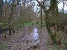 Footpath, Jack O'Lantern Wood - via Daymix