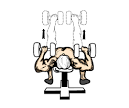 Chest Weight Training