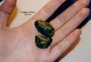 Dr. Hulda Clark Liver cleanse & gallbladder cleanse & <b>gallstones</b>