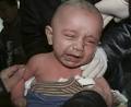 Palestinian - Salem-News.