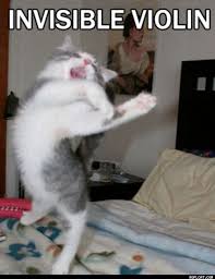 Bildergebnis für lustige katzenbilder mit sprüchen