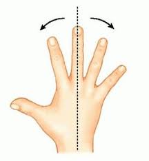 abduction of the fingers