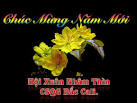 Hình Ảnh Sinh Hoạt