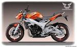 Naked 600's from China - Yamaha FZ6 Forums - International FZ6 ...