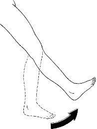 Extension