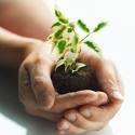 Take an Earth Day Quiz | POPSUGAR Food