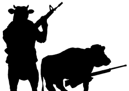 images?q=tbn:ANd9GcTQDN0fv5vmIQ8pGKqvFRBFhJbJa2frGqpaOxy_hfYiTGtSpsrgQg