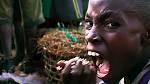 Blog-only offer: Free tickets to Darwin's Nightmare — Film/Video ...