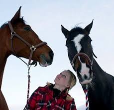 (Foto: Tone Liabø) Aragon, Annette og Riverina. - 10002