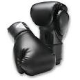 Century Boxing Glove