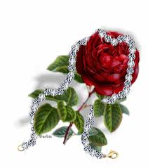333. Haftan�n �yesi ���im�ek..