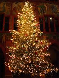 christmas trees-4