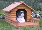 Large Dog Houses