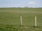 40-hectare field, South Hill. It lies to the east of Seaford Head. - via Daymix