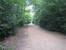 Epping Forest: The Three - via Daymix