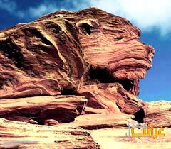 (صور)-عجائب غرائب الدنيا