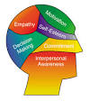 Emotional Intelligence Vs Intelligence Quotient | Come Recommended