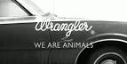 fashion campaign animals