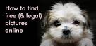 How to find free and legal pictures : DonCrowther.