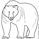 Bear coloring page