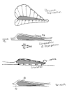 2.972 How a Hydrofoil Works