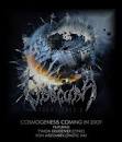OBSCURA was founded in 2002 by