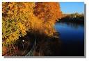 Photo Gallery