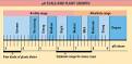 Soil Management   Chemical Properties