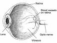 eye2.gif