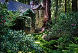 Daily Comments #7- Just place to plant your thoughts. No feedback required.