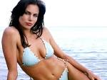 Brooke Burns Image Brooke Burns HD Wallpapers Picture 2