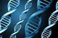 Geneticology - Genetic Testing