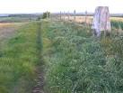 near to Cairncross, Scottish Borders, Great Britain. Trig Point &amp; Track - via Daymix