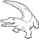 Crocodile coloring page