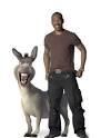 Voices Behind Shrek The Third Characters ~ www.