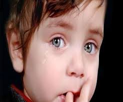http://t3.gstatic.com/images?q=tbn:ANd9GcTTFoj7I19j6-1PUJivwLTbBPrZ0Fgpo2cPebq6PhgmzVbnht4T
