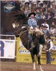  Rodeo 