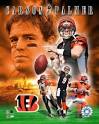 From Carson Palmer