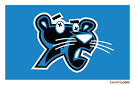 Carolina Logo Redesigned | TAUNTR.