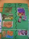 Preschool Science Activities   The Human Body