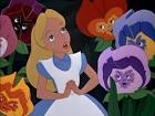 Cartoon Characters and Animated Movies: Alice in Wonderland Flowers