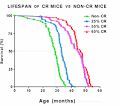 Research that will change your life! | CRS